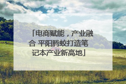 电商赋能，产业融合 平阳腾蛟打造笔记本产业新高地