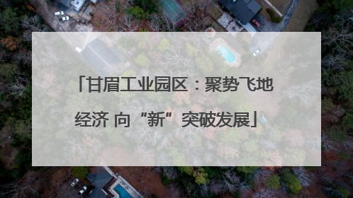 甘眉工业园区：聚势飞地经济 向“新”突破发展
