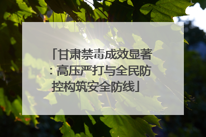 甘肃禁毒成效显著：高压严打与全民防控构筑安全防线