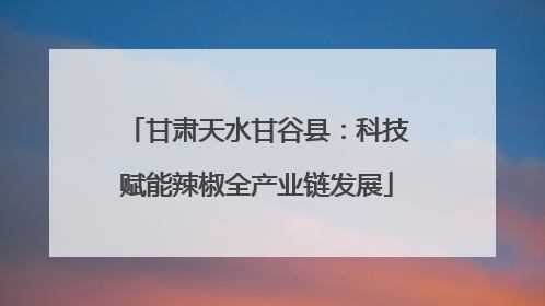甘肃天水甘谷县：科技赋能辣椒全产业链发展
