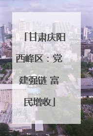 甘肃庆阳西峰区：党建强链 富民增收
