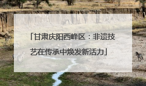 甘肃庆阳西峰区：非遗技艺在传承中焕发新活力