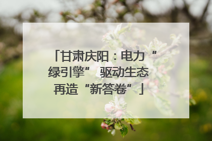 甘肃庆阳：电力“绿引擎” 驱动生态再造“新答卷”