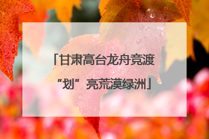 甘肃高台龙舟竞渡“划”亮荒漠绿洲