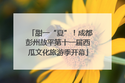 甜一“夏”！成都彭州敖平第十一届西瓜文化旅游季开幕