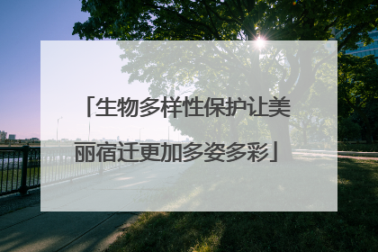 生物多样性保护让美丽宿迁更加多姿多彩