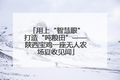 用上“智慧眼” 打造“吨粮田”——陕西宝鸡一座无人农场夏收见闻