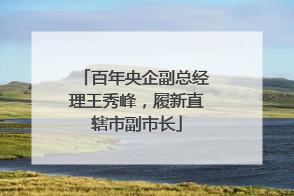百年央企副总经理王秀峰，履新直辖市副市长