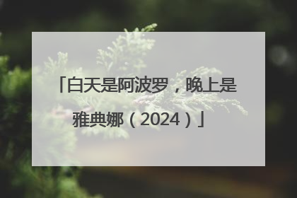 白天是阿波罗，晚上是雅典娜（2024）