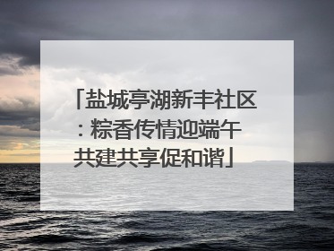 盐城亭湖新丰社区：粽香传情迎端午 共建共享促和谐
