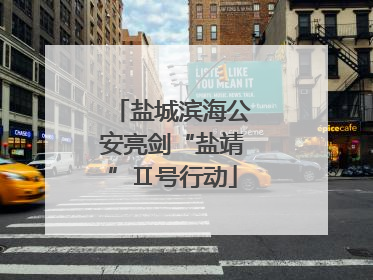 盐城滨海公安亮剑“盐靖”Ⅱ号行动