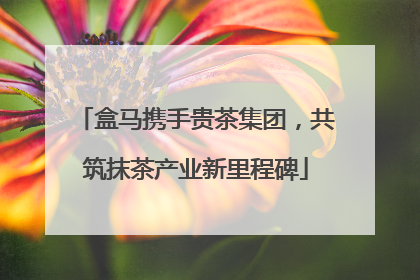 盒马携手贵茶集团，共筑抹茶产业新里程碑