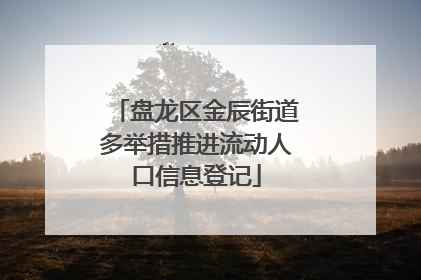 盘龙区金辰街道多举措推进流动人口信息登记