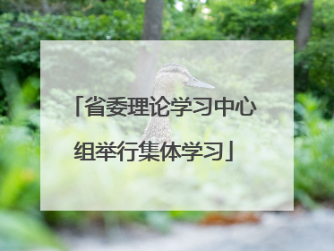 省委理论学习中心组举行集体学习