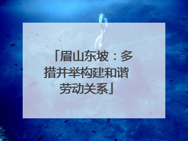 眉山东坡：多措并举构建和谐劳动关系