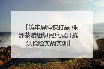 筑牢屏障谋打赢 株洲茶陵组织民兵展开抗洪抢险实战实训