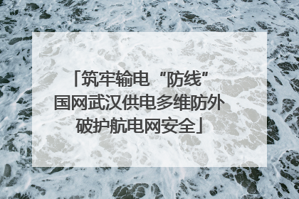 筑牢输电“防线” 国网武汉供电多维防外破护航电网安全