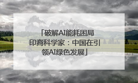 破解AI能耗困局 印裔科学家：中国在引领AI绿色发展