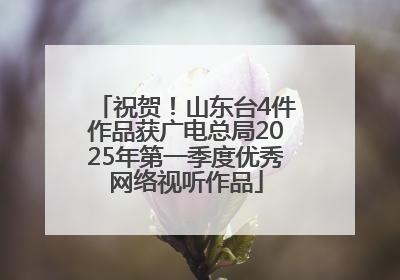 祝贺！山东台4件作品获广电总局2025年第一季度优秀网络视听作品