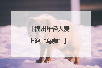 福州年轻人爱上泡“鸟咖”