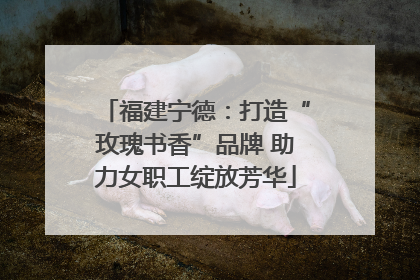 福建宁德：打造“玫瑰书香”品牌 助力女职工绽放芳华
