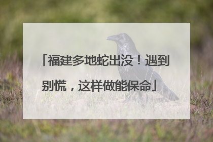 福建多地蛇出没！遇到别慌，这样做能保命