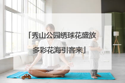 秀山公园绣球花盛放 多彩花海引客来