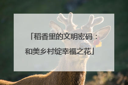 稻香里的文明密码：和美乡村绽幸福之花