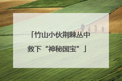 竹山小伙荆棘丛中救下“神秘国宝”