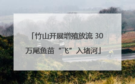 竹山开展增殖放流 30万尾鱼苗“飞”入堵河