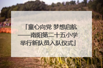 童心向党 梦想启航——南阳第二十五小学举行新队员入队仪式