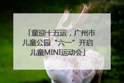 童迎十五运，广州市儿童公园“六一”开启儿童MINI运动会