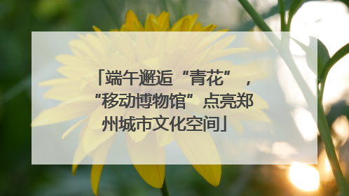 端午邂逅“青花”，“移动博物馆”点亮郑州城市文化空间