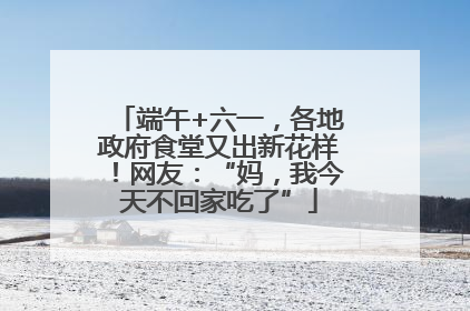 端午+六一，各地政府食堂又出新花样！网友：“妈，我今天不回家吃了”