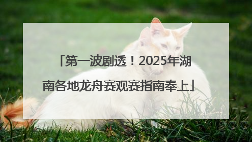 第一波剧透！2025年湖南各地龙舟赛观赛指南奉上