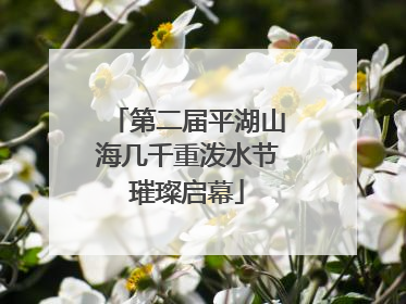 第二届平湖山海几千重泼水节璀璨启幕