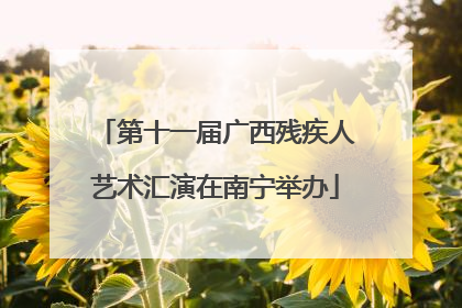 第十一届广西残疾人艺术汇演在南宁举办