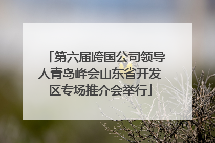 第六届跨国公司领导人青岛峰会山东省开发区专场推介会举行