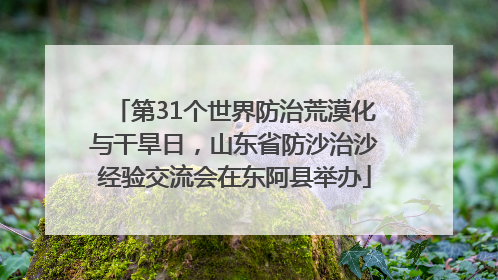 第31个世界防治荒漠化与干旱日，山东省防沙治沙经验交流会在东阿县举办