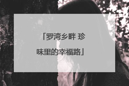 罗湾乡畔 珍味里的幸福路