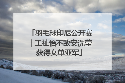 羽毛球印尼公开赛｜王祉怡不敌安洗莹 获得女单亚军