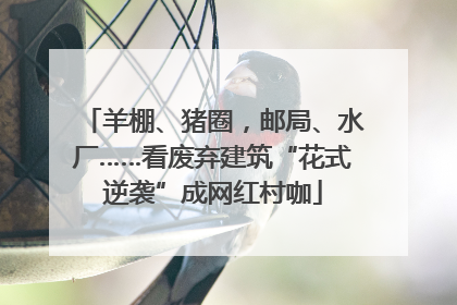 羊棚、猪圈，邮局、水厂……看废弃建筑“花式逆袭”成网红村咖