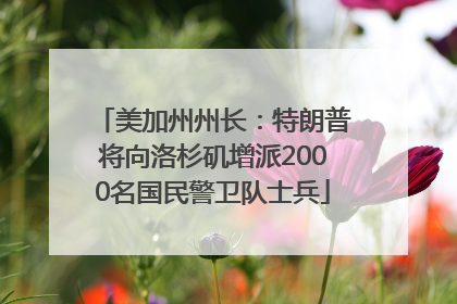 美加州州长:特朗普将向洛杉矶增派2000名国民警卫队士兵