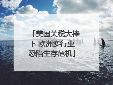 美国关税大棒下 欧洲多行业恐陷生存危机