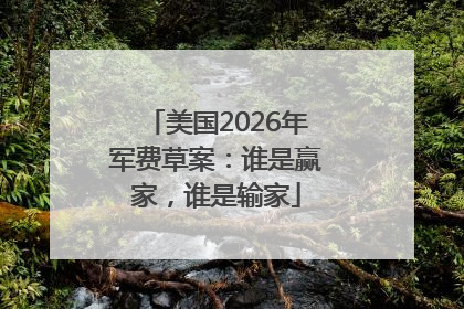 美国2026年军费草案：谁是赢家，谁是输家
