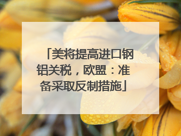 美将提高进口钢铝关税，欧盟：准备采取反制措施