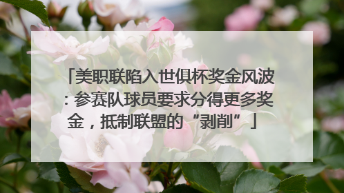 美职联陷入世俱杯奖金风波：参赛队球员要求分得更多奖金，抵制联盟的“剥削”