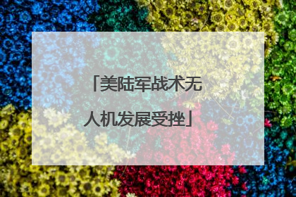 美陆军战术无人机发展受挫