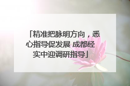 精准把脉明方向，悉心指导促发展 成都经实中迎调研指导