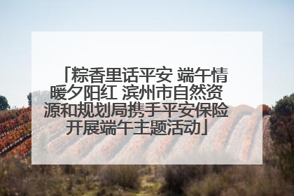 粽香里话平安 端午情暖夕阳红 滨州市自然资源和规划局携手平安保险开展端午主题活动